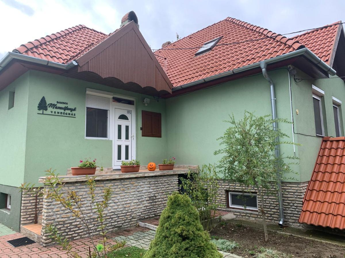 Bakonyi Mamutfenyo Vendeghaz Apartment Tes Ngoại thất bức ảnh